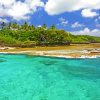 Beach In Niue Island Diamond Paintings