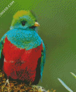 Beautiful Quetzal Diamond Paintings