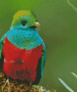 Beautiful Quetzal Bird Diamond Paintings