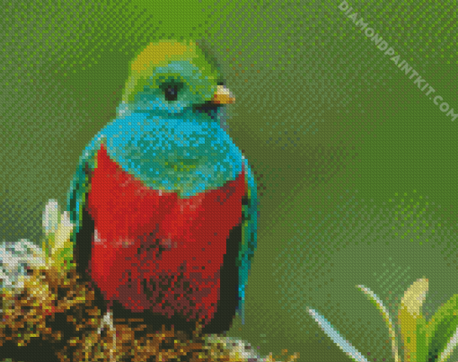 Beautiful Quetzal Bird Diamond Paintings