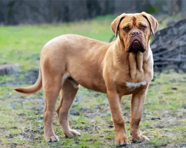 Beige Mastiff Diamond Paintings