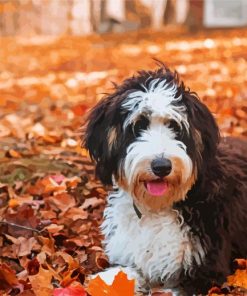 Bernedoodle In The Leaves Diamond Paintings