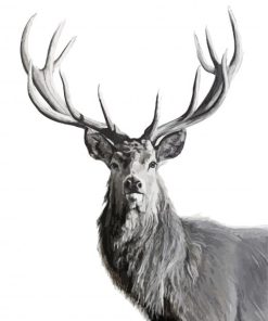 Black And White Highland Stag Animal Diamond Paintings