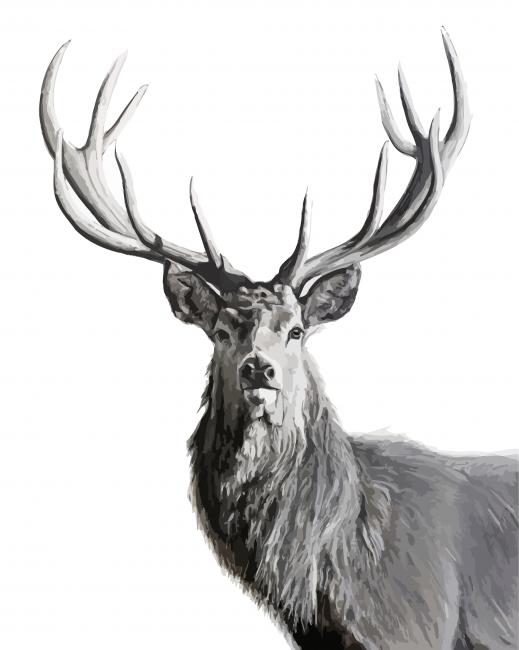 Black And White Highland Stag Animal Diamond Paintings