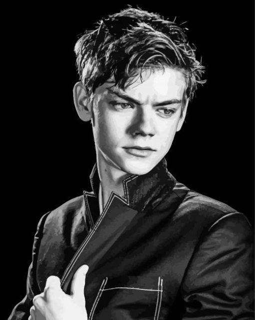 Black And White Thomas Brodie Sangster Diamond Paintings