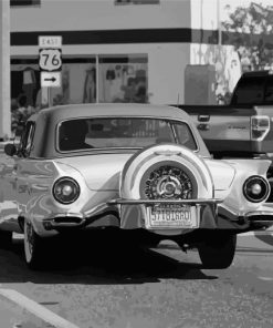 Black And White Thunderbird Car Diamond Paintings