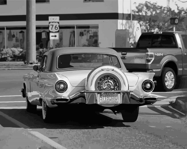 Black And White Thunderbird Car Diamond Paintings