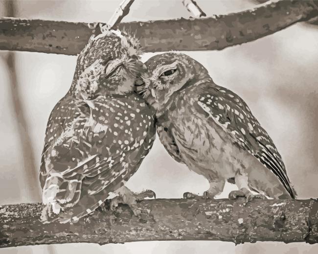 Black And White Owl Couple Diamond Paintings