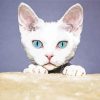 Blue Eyes Devon Rex Cat Diamond Paintings