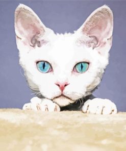 Blue Eyes Devon Rex Cat Diamond Paintings