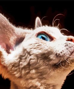 Cute Blue Eyes Devon Rex Cat Diamond Paintings