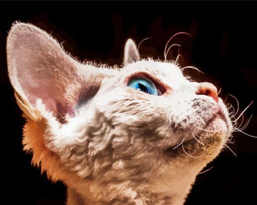 Cute Blue Eyes Devon Rex Cat Diamond Paintings