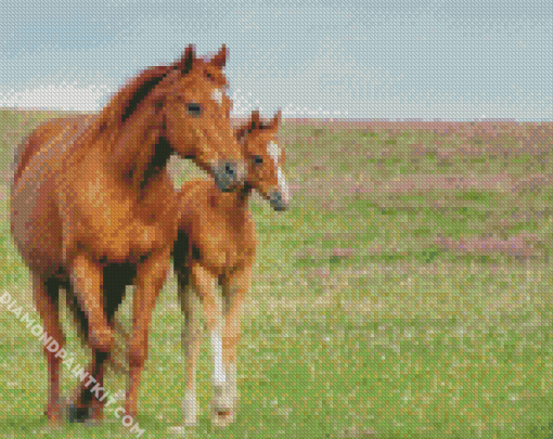 Brown Mares Diamond Paintings