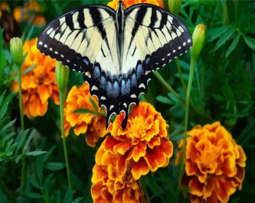 Butterfly Marigolds Diamond Paintings