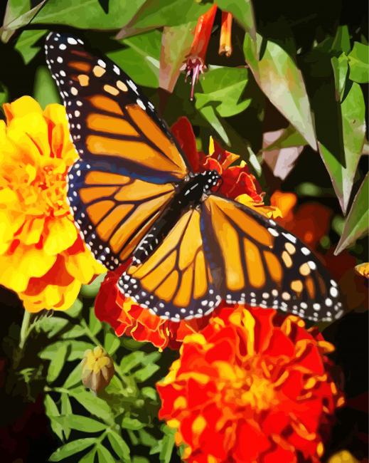 Butterfly On Marigolds Diamond Paintings