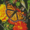 Butterfly On Marigold Diamond Paintings