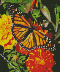 Butterfly On Marigold Diamond Paintings