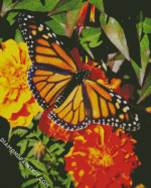 Butterfly On Marigold Diamond Paintings