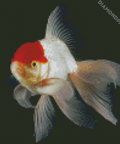 Cap White Fish Diamond Painting