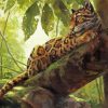 Clouded Leopard Diamond Paintings