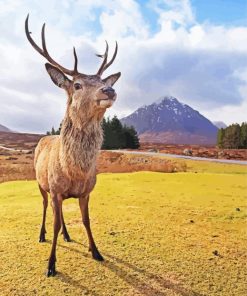 Cute Highland Stag Animal Diamond Paintings