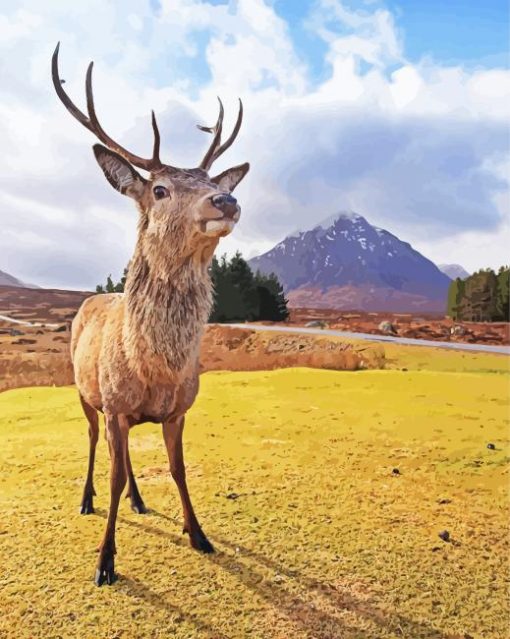 Cute Highland Stag Animal Diamond Paintings