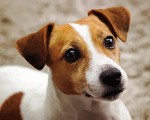 Cute Jack Russel Terrier Diamond Paintings