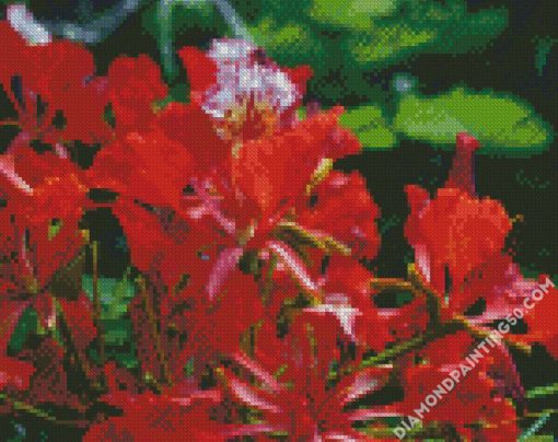 Flamboyan Flower Plant diamond painting