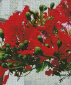 Flamboyan Plant diamond painting