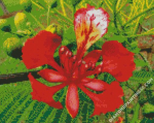 Flamboyan Tree Flower diamond painting