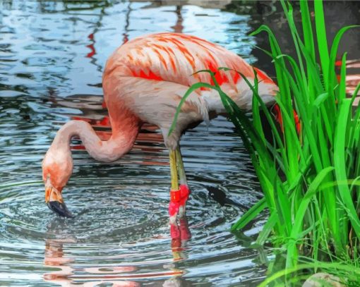 Flamingo Drinking Water Diamond Paintings