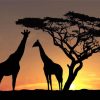 Giraffe Silhouette African Landscape Diamond Paintings