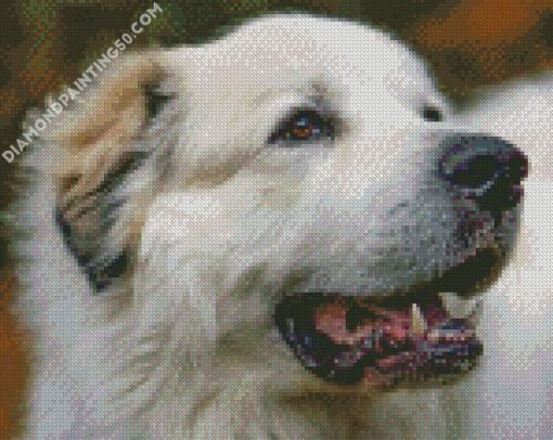 Great Pyrenees Dog diamond painting