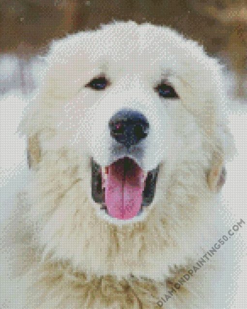 Great Pyrenees Dog Head diamond painting