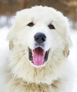 Great Pyrenees Dog Head diamond painting