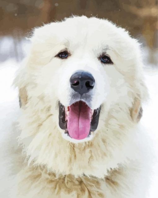 Great Pyrenees Dog Head diamond painting