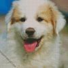 Great Pyrenees Puppy diamond painting