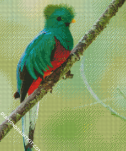 Green Quetzal Bird Diamond Paintings