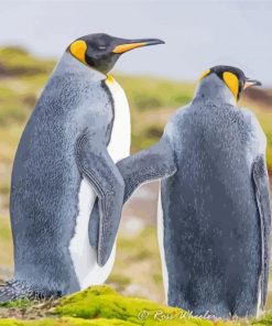 Grey Penguin Couple Diamond Paintings