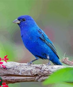 Indigo Bunting Bird Diamond Paintings