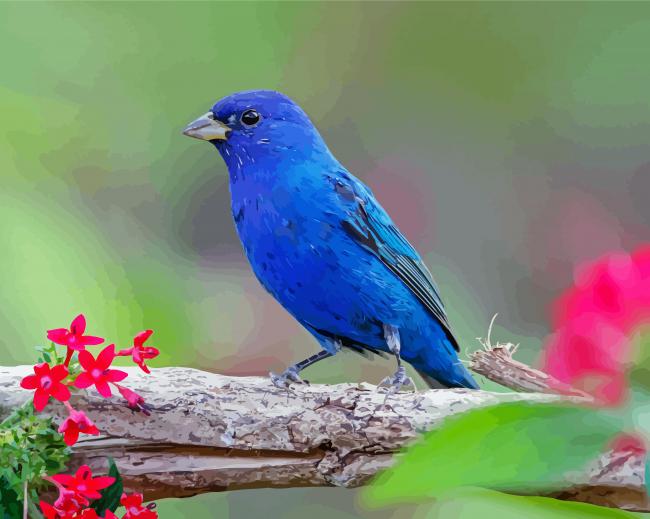 Indigo Bunting Bird Diamond Paintings