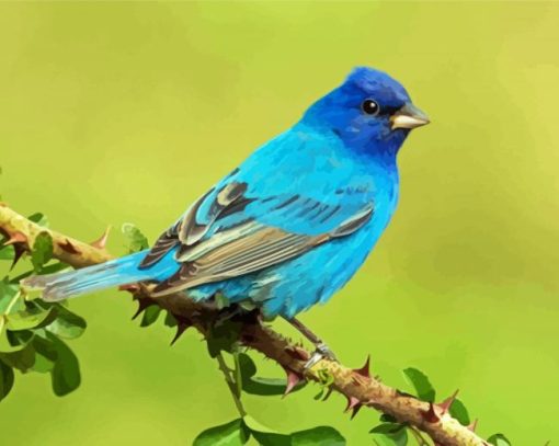 Indigo Bunting On Branch Diamond Paintings