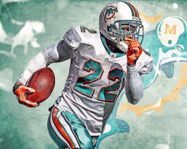 Reggie Bush Miami Dolphins Diamond Paintings