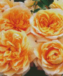 Orange Floribunda Flowers diamond painting