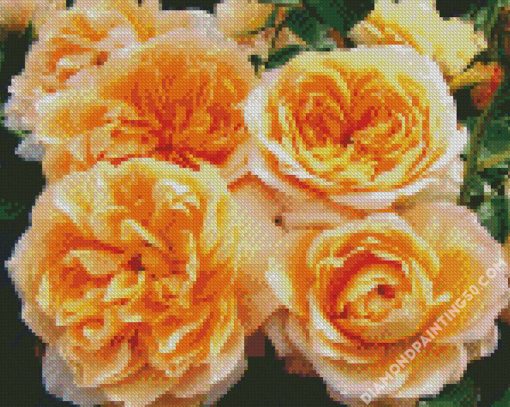 Orange Floribunda Flowers diamond painting