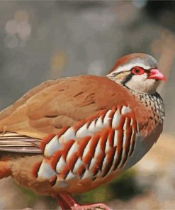 Aesthetic Partridge Bird Diamond Paintings