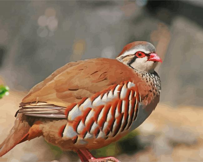 Aesthetic Partridge Bird Diamond Paintings