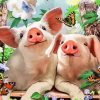 Pigs And Flying Monarch Butterflies Diamond Paintings