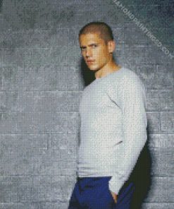 Prison Break Actor Wentworth Miller Diamond Painting