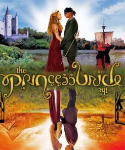 The Princess Bride Poster Diamond Paintings